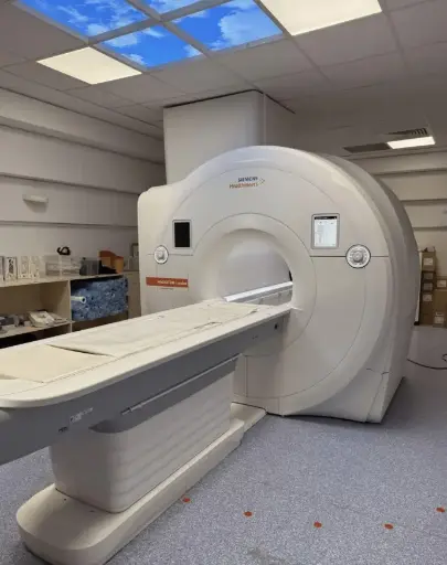 2019 Siemens Lumina 3T
